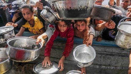 Palestinian UN Envoy Accuses Israel of Using Starvation as a Weapon in Gaza Crisis