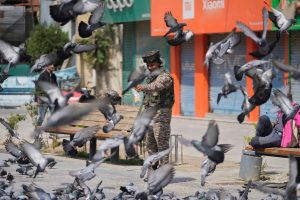 Residents of Indian-administered Kashmir Express Relief as Ceasefire Takes Effect