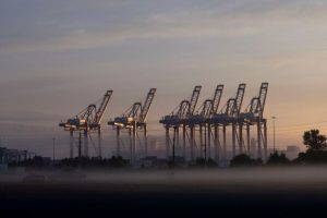 Trump Tariffs Raise Supply Chain Concerns for US Firms