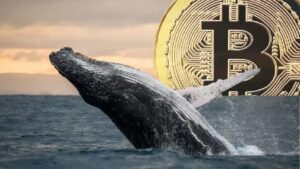 US Whales Buying Bitcoin, Non-US Whales Selling – How Should This Be Interpreted? Here Are the Details
