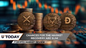 Crypto Market Review: XRP Faces 85% Volume Reset, Shiba inu (SHIB) Bull Run Chances Are Slim, Analyzing Dogecoin’s Possibility to Return to $0.10