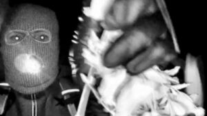 What we know about the Nancy Guthrie kidnapping suspect