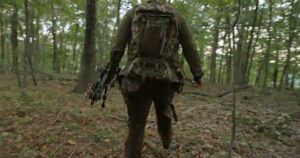 On the hunt for bear in the Ozarks