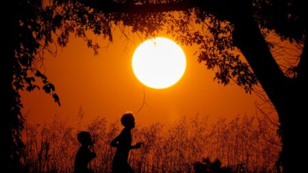 US life expectancy hit an all-time high in 2024, CDC says