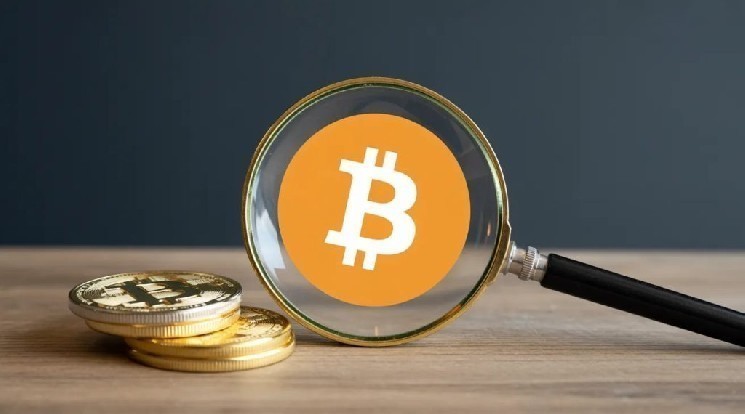 Expert Analyst Shares Year-by-Year Bitcoin Price Forecast for the Next 5 Years