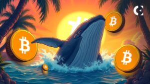 Bitcoin Whale Moves $33M to Binance, Is Sell-off Coming?