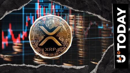 XRP Volume Jumps 70% as Total Market Liquidations Hit $387 Million