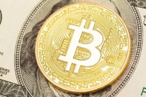3 Reasons Why Bitcoin Price Will Not Crash to $0