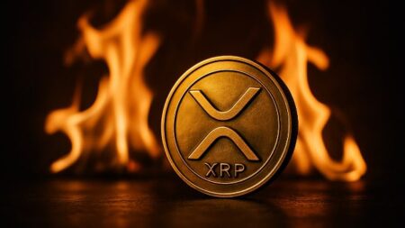 XRP Faces Systematic Rigging, Major Holder Says