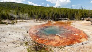 Yellowstone’s rare acidic geyser is active again after years of dormancy, USGS says