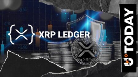 XRP on the Verge of Privacy Breakthrough: Top XRPL Contributor Details How This Feature Will Be Realized