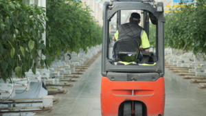 Warning food prices are set to spike in the UK due to Iran war