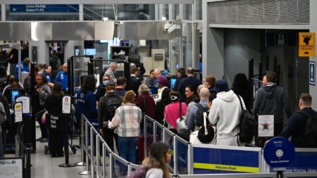 How to find airport security wait times, plus tips to mitigate long lines and save time amid TSA staffing shortages