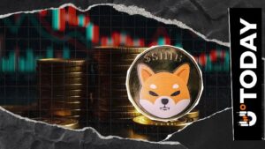 Shiba Inu OI Falls 6% as Price Fails to Recover