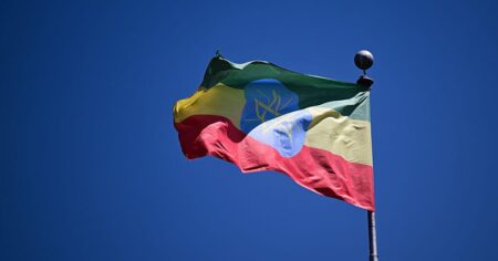 Judge postpones termination of temporary protected status for Ethiopians in U.S.