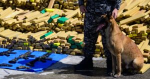 Police dog named Hulk sniffs out 48 tons of marijuana in record bust in Brazil