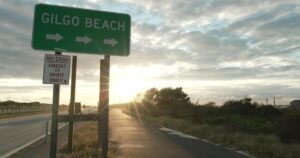 Long Island serial killings: A timeline of the investigation