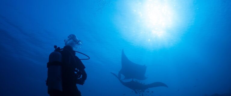 Ocean protections clash with mining pressure in Indonesia’s diverse marine ecosystem