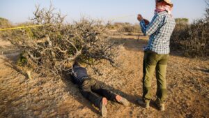 The myrrh tree, key to luxury perfumes and African incomes, is threatened by drought