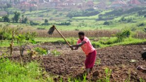 Rwanda tries to protect farmland in Africa’s most densely populated nation