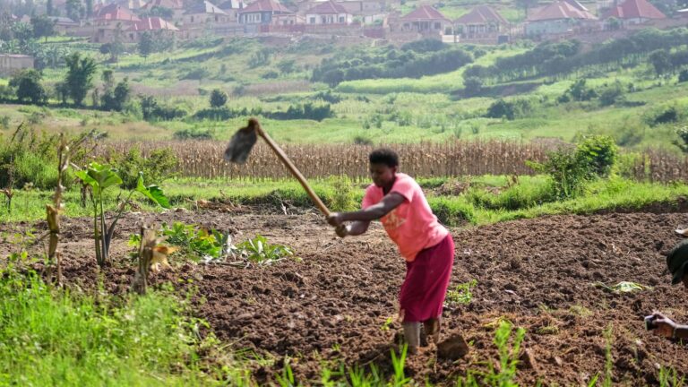 Rwanda tries to protect farmland in Africa’s most densely populated nation